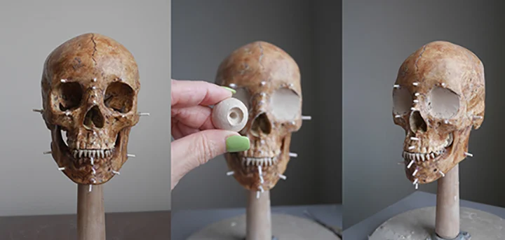 Facial+Approximation_1.jpg