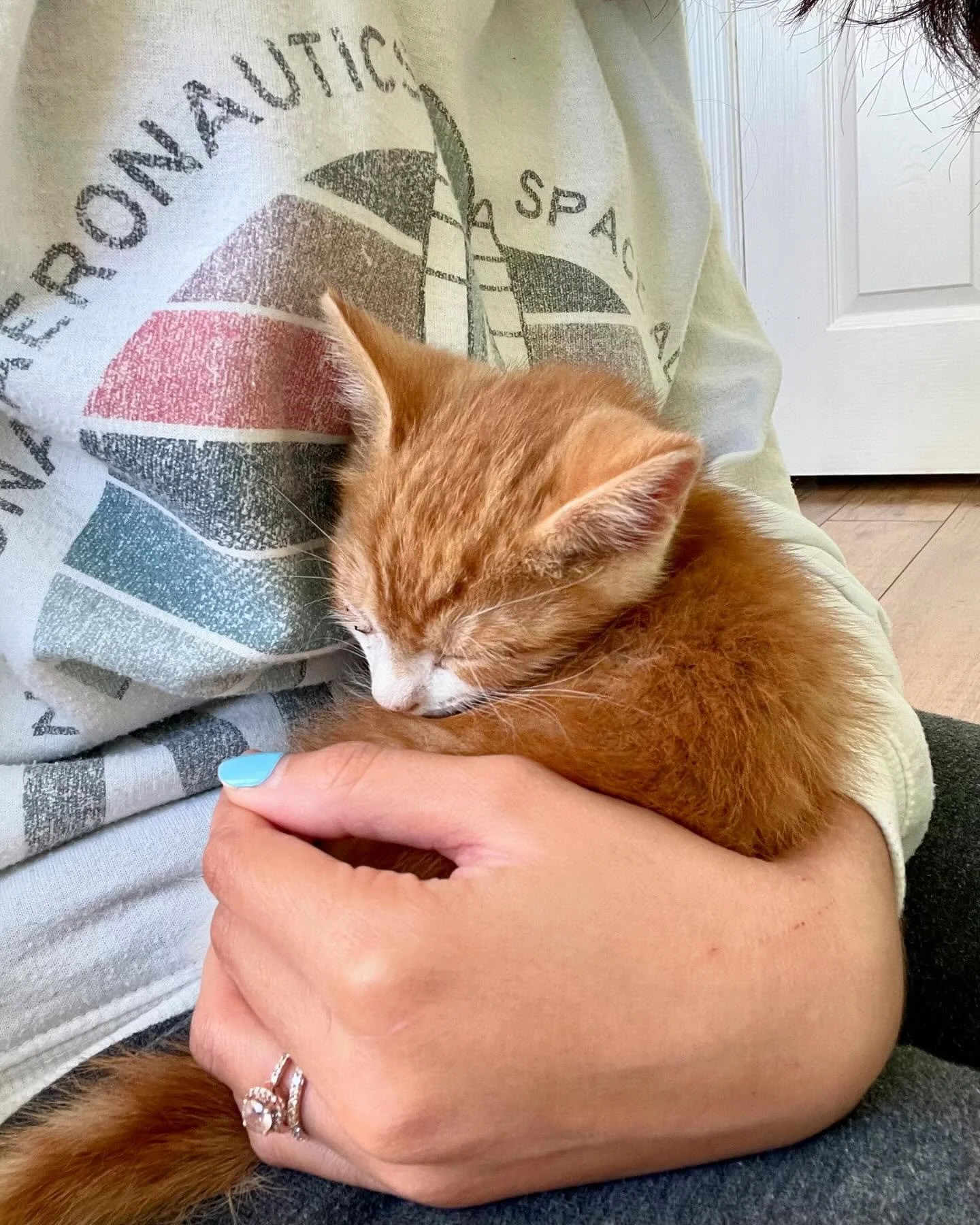 Meet the newest foster member of our family, Pabu 💚🐈

UPDATE: He&rsquo;s now in his forever home! 🥹