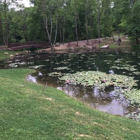 Yoga in the Pittsburgh Botanic Garden 