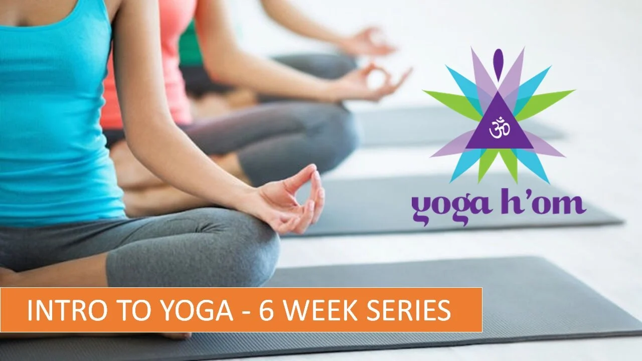 Intro to Yoga 5 Week Series 