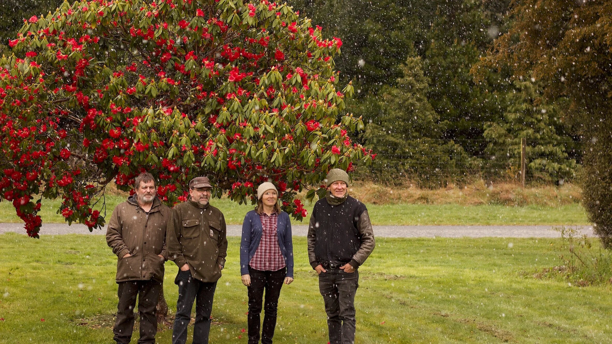 The Bats announce new album 'Foothills,' release new single "'Warwick"