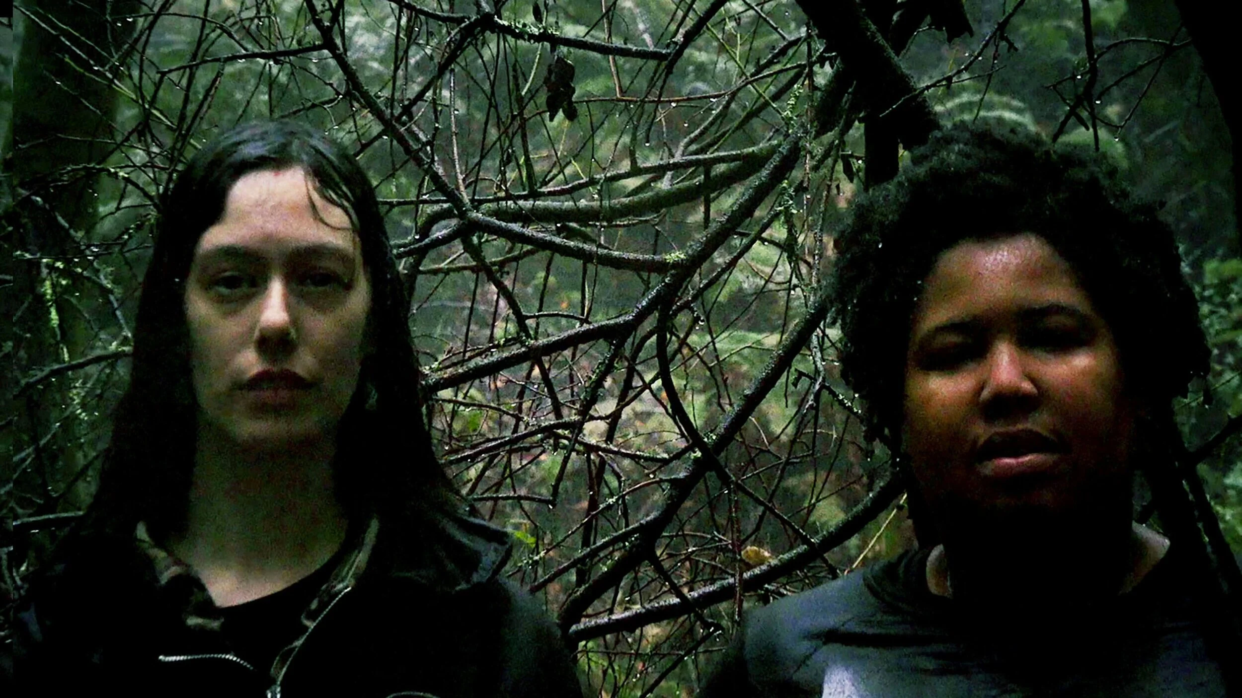 Divide and Dissolve release new single "We Are Really Worried About You"