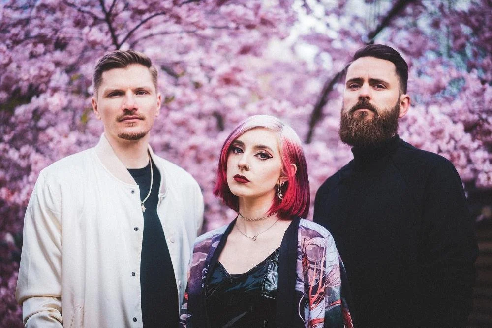 Future Palace release new single "Paradise"