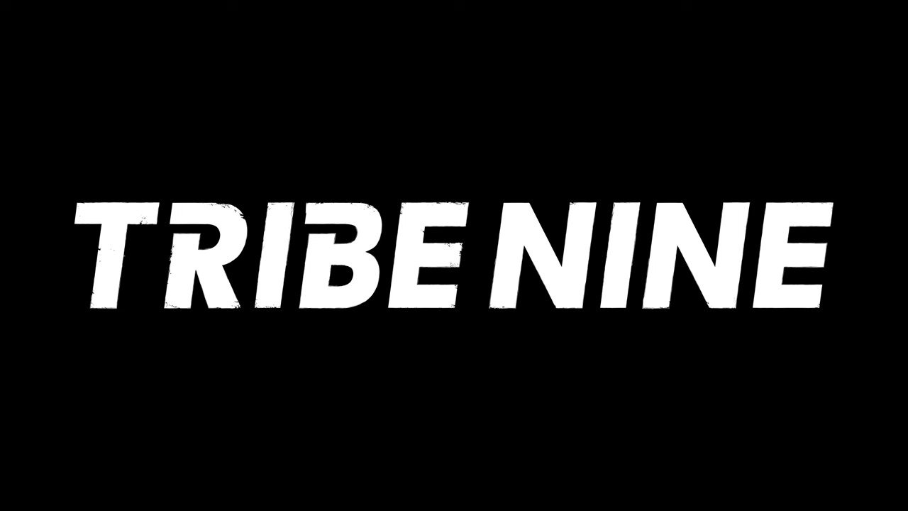Free-to-play action RPG Tribe Nine announces shutdown months after release