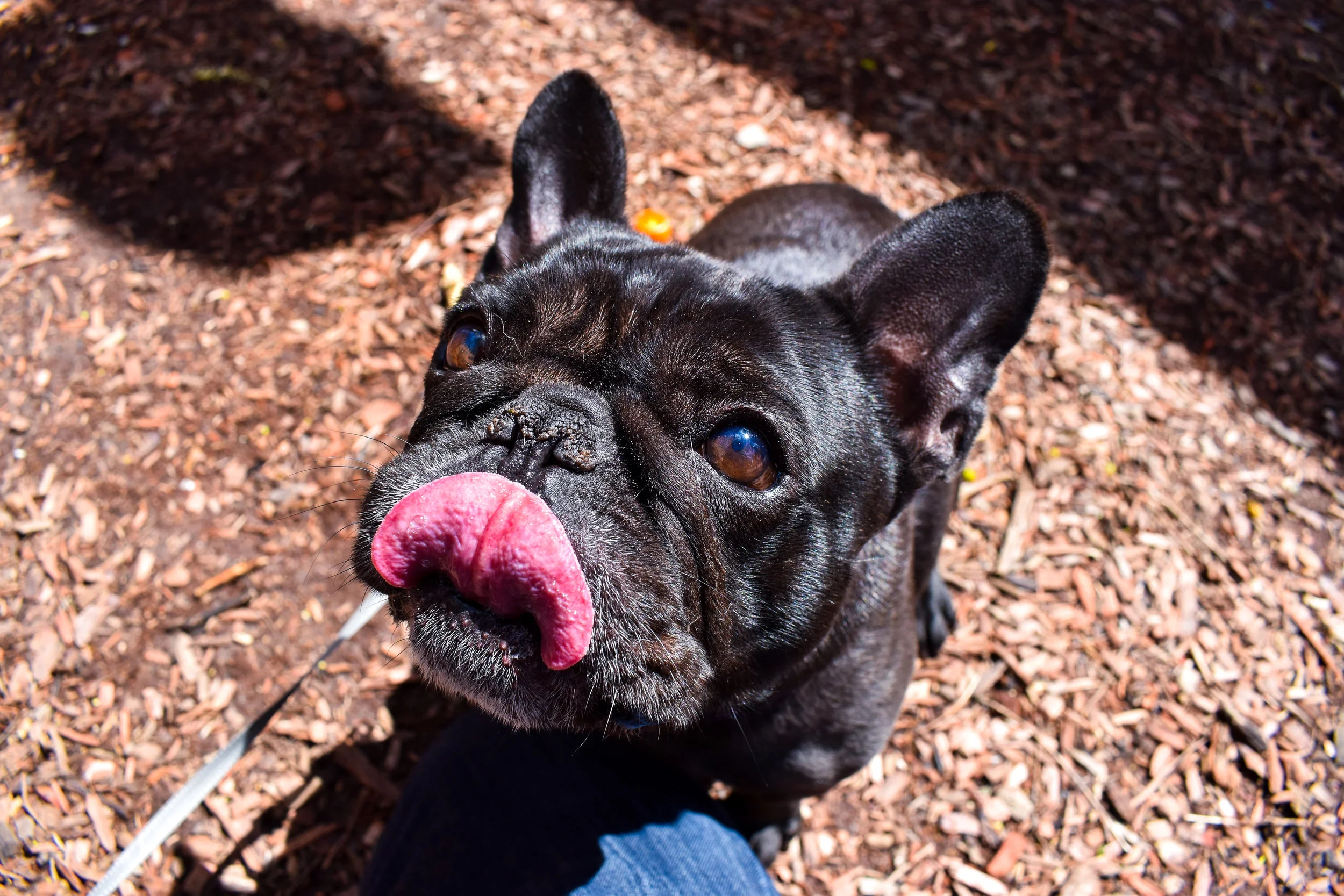 DSC_0313.jpg