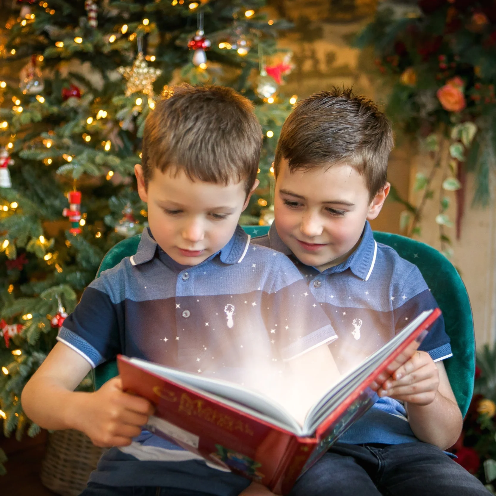 I'm going to drop the C word....