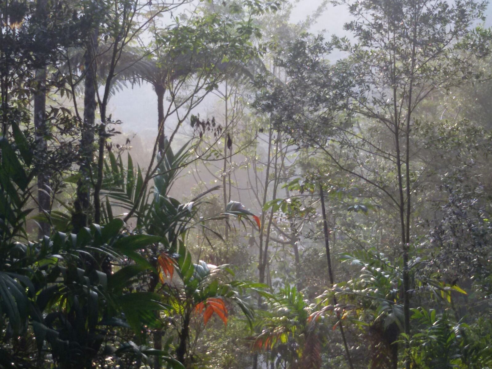 Biotopo del Quetzal