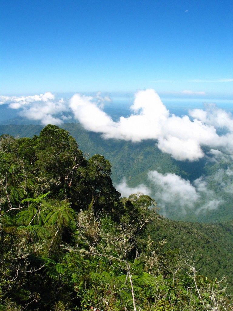 Pico Turquino