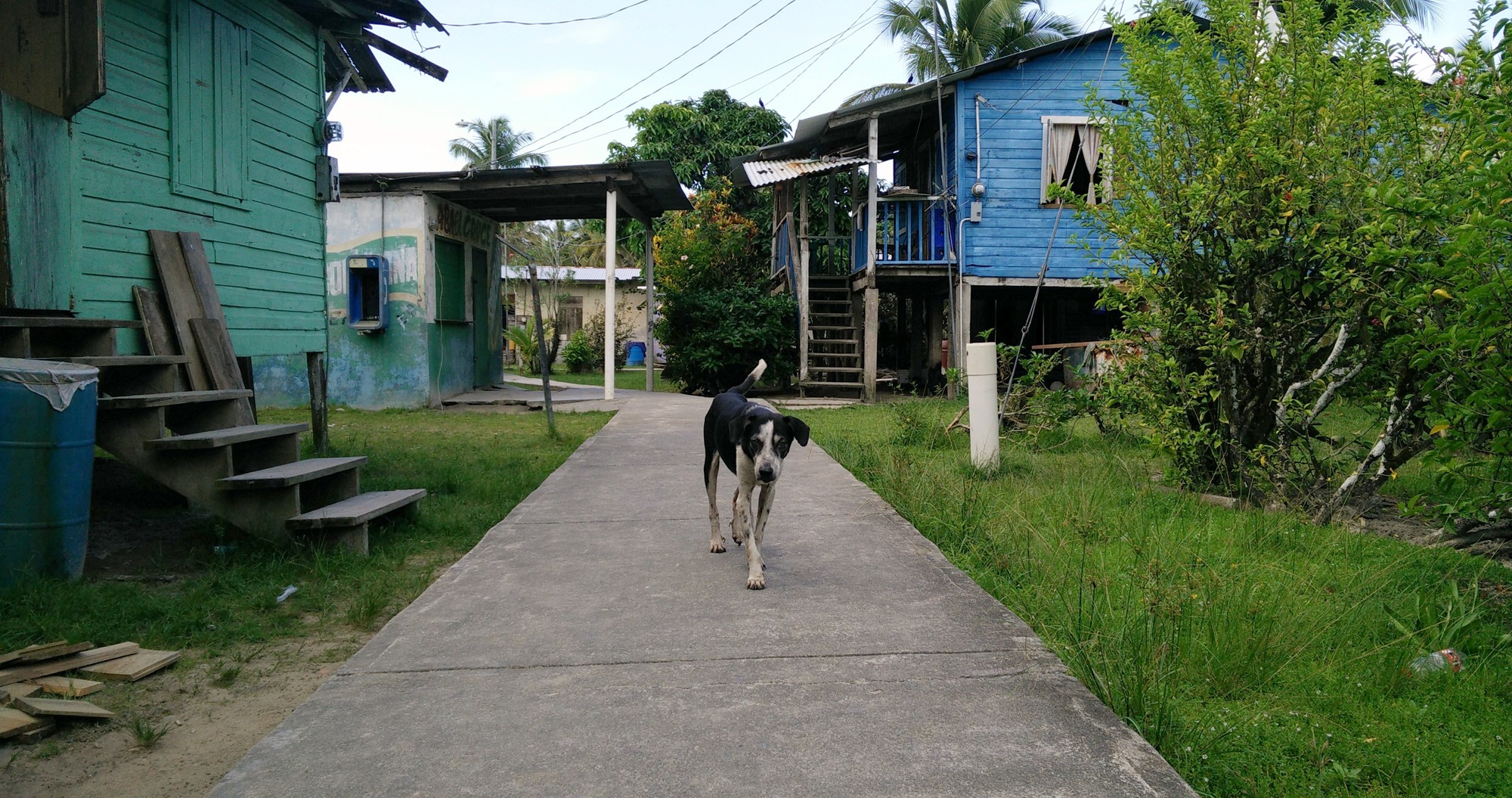 Isla Caranero
