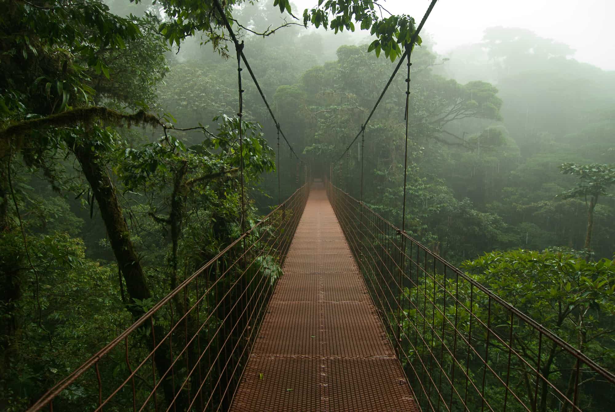 Monteverde