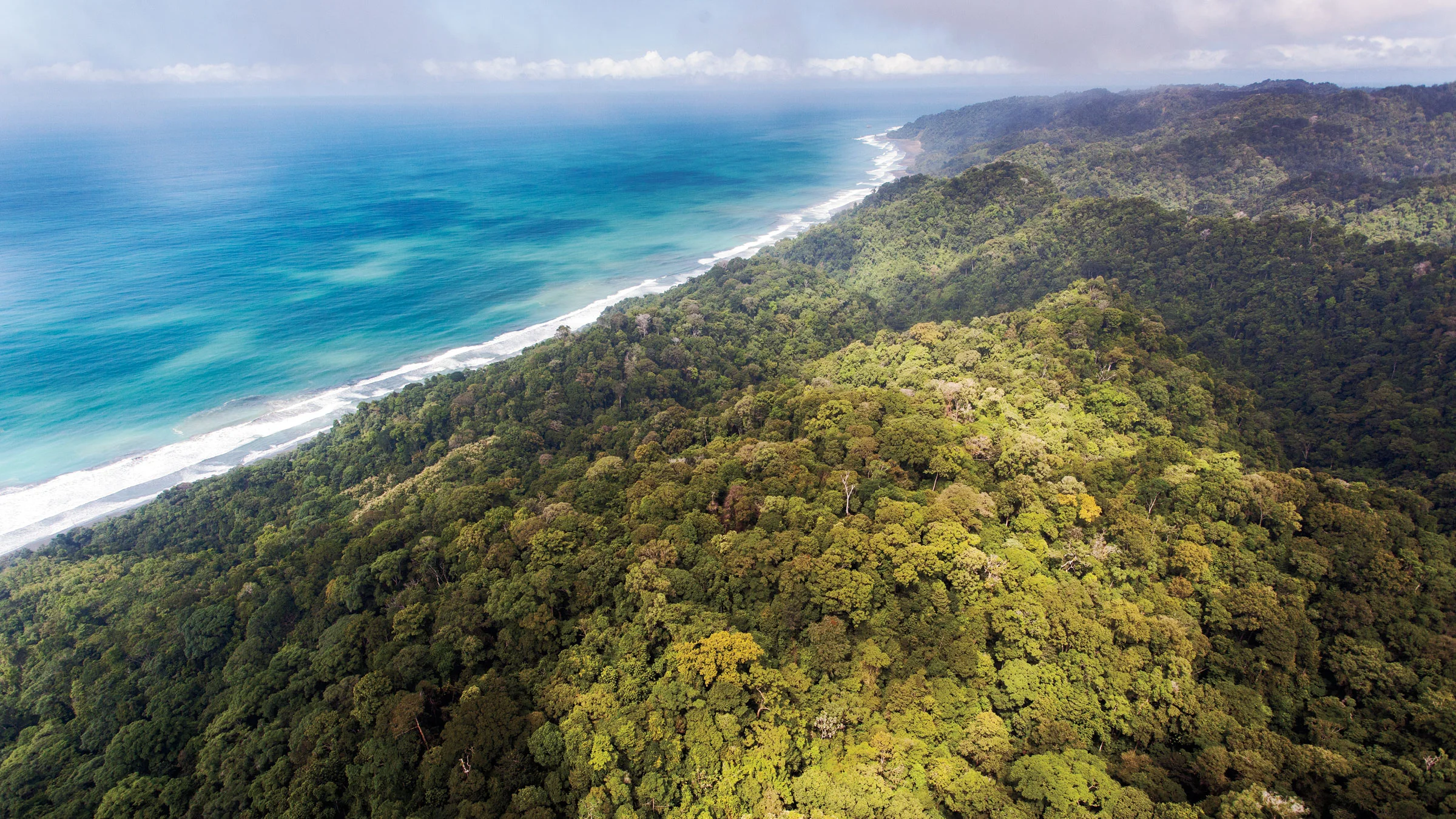Corcovado