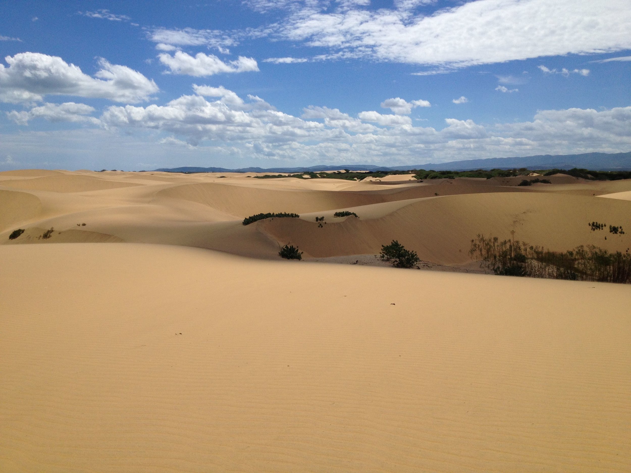 Medanos de Coro