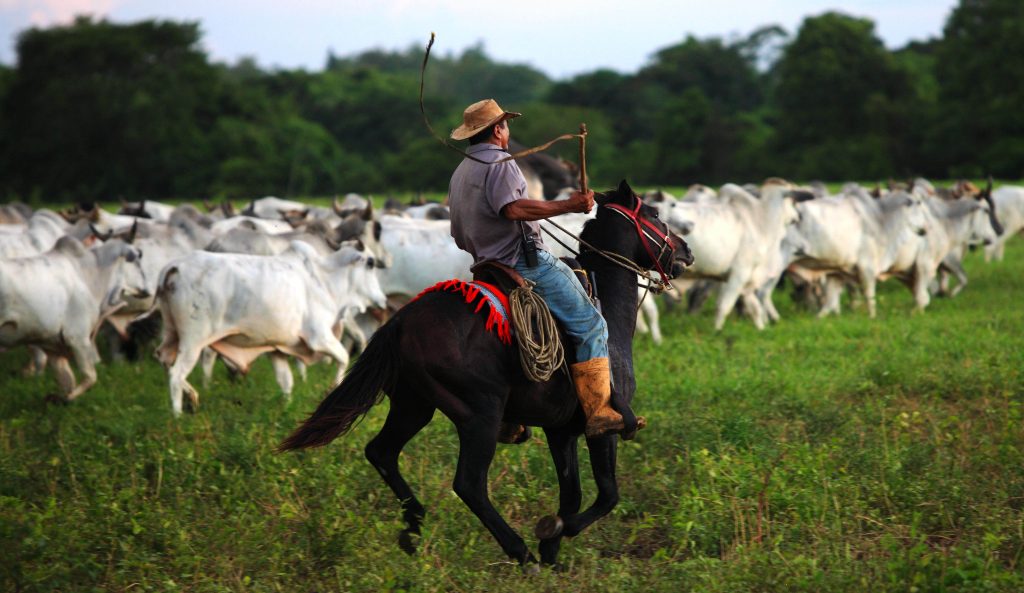 Cultura Llanera