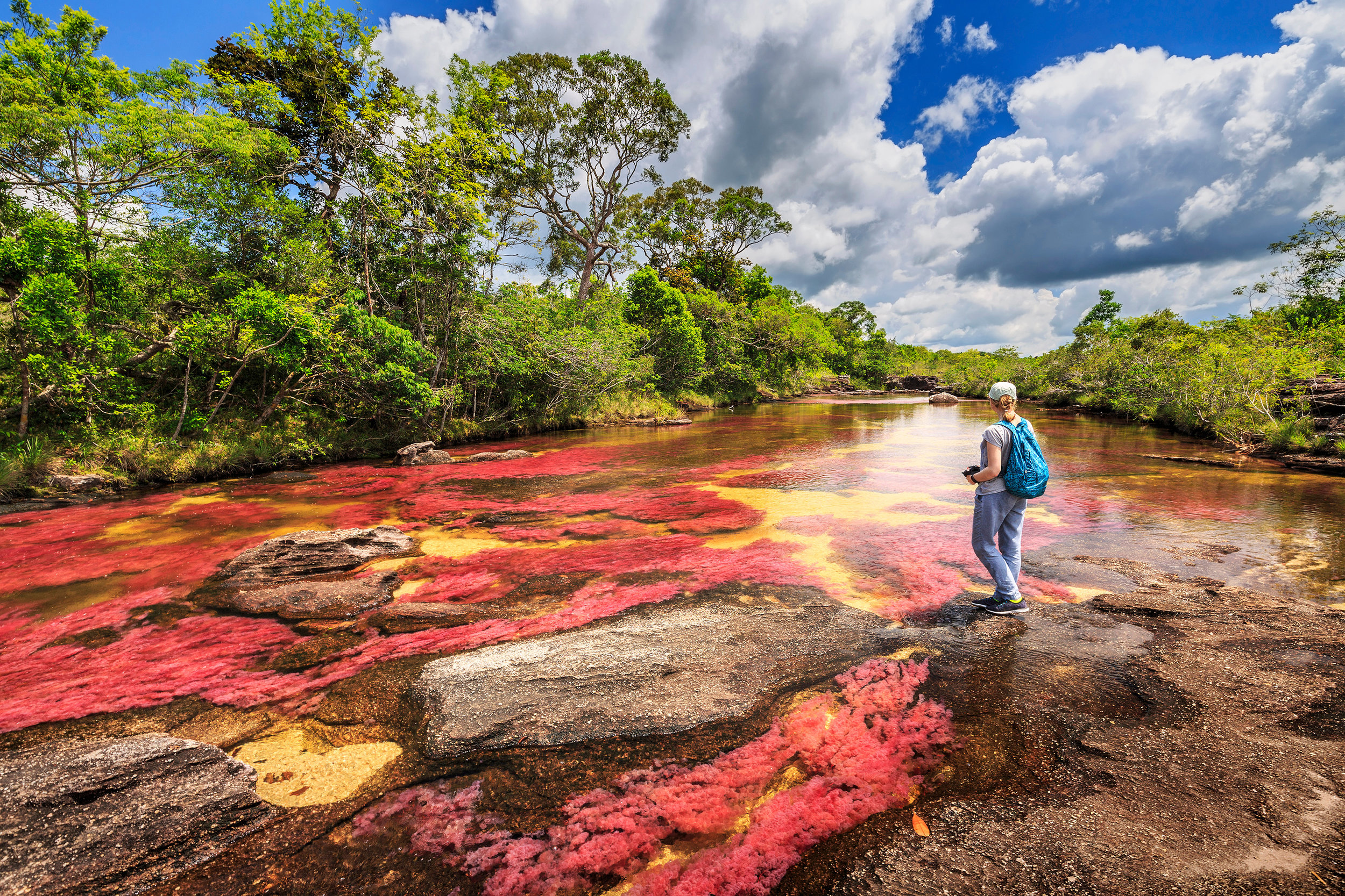 Caño Cristales