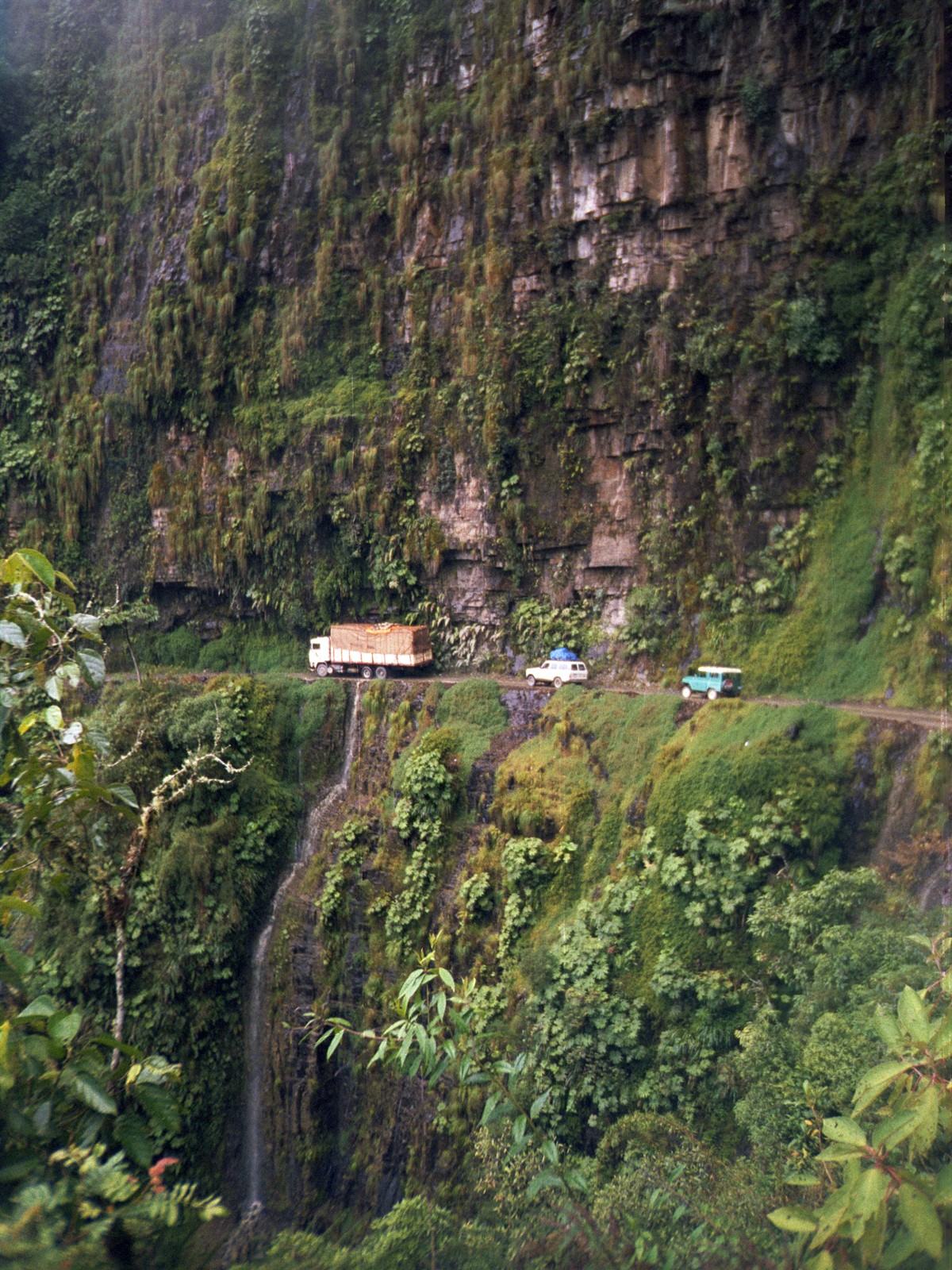 Nor Yungas
