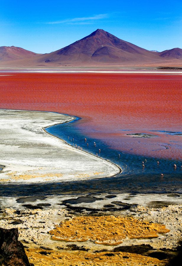 Laguna Colorada