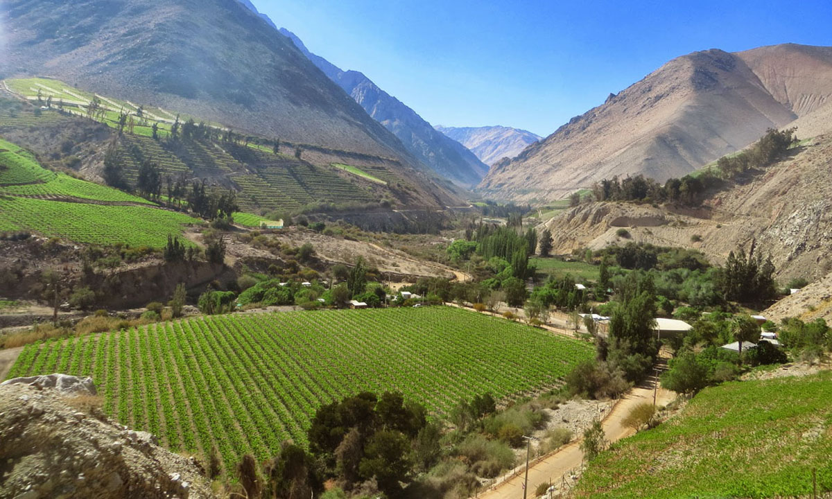 Valle del Elqui