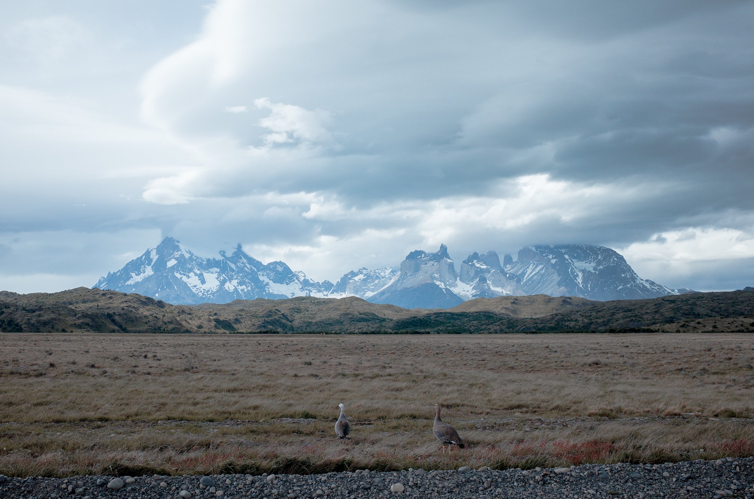 Patagonia