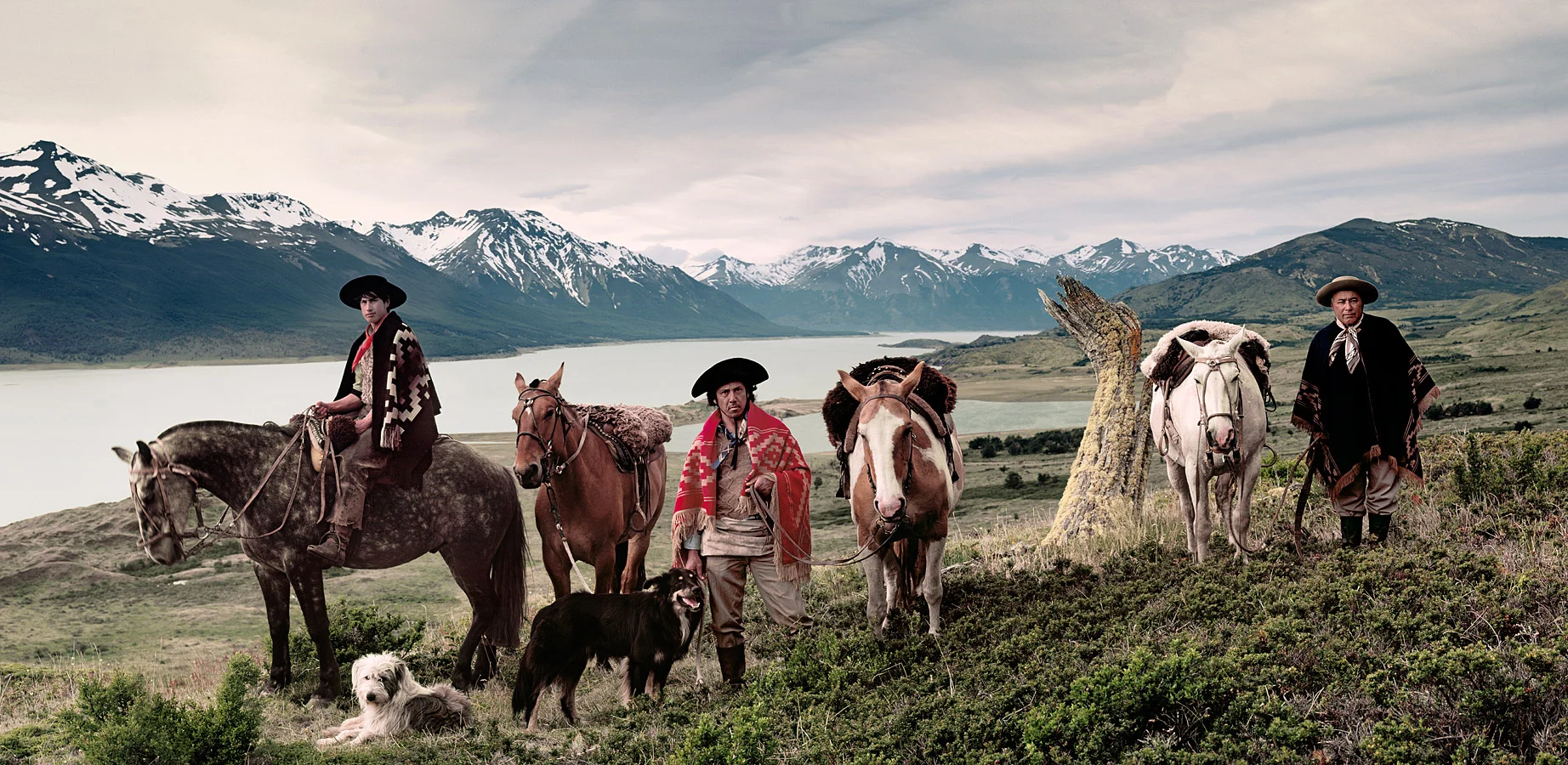 Gauchos