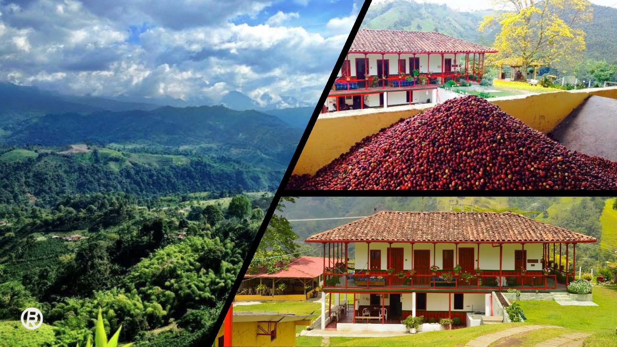 Productionregion_Colombia_0205_clean_Seite_52.jpg
