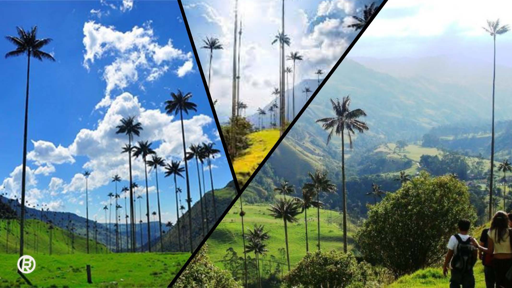 Productionregion_Colombia_0205_clean_Seite_54.jpg