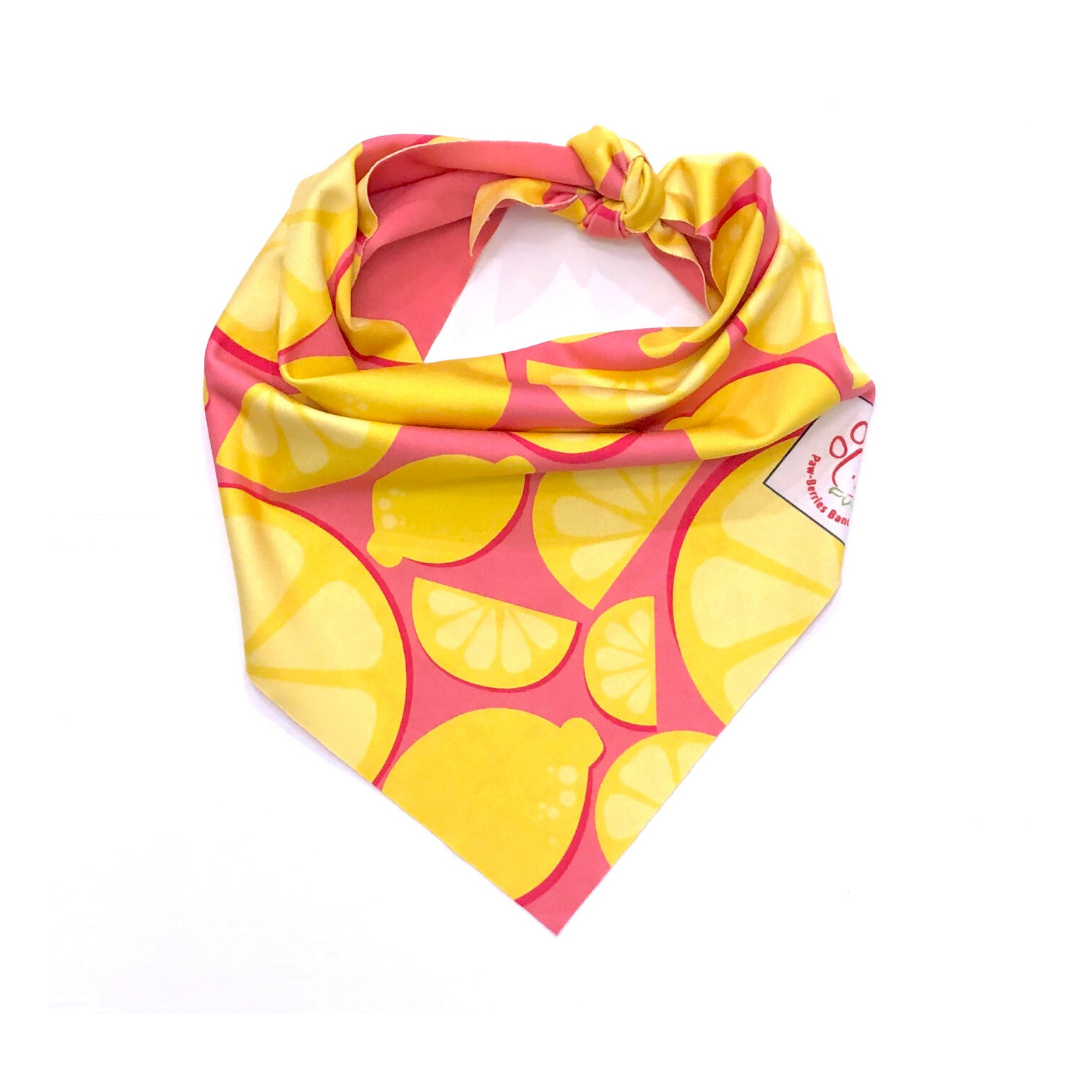Pink Lemonade Bandana