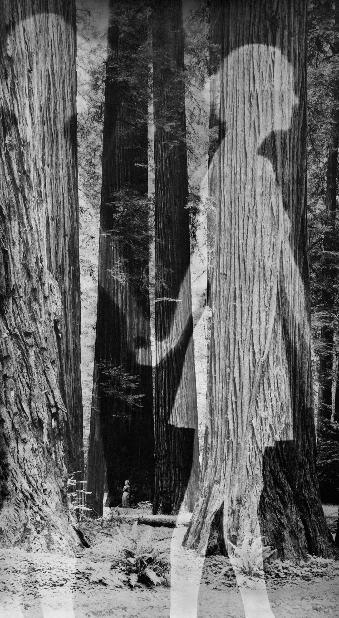 Figure and Ground II