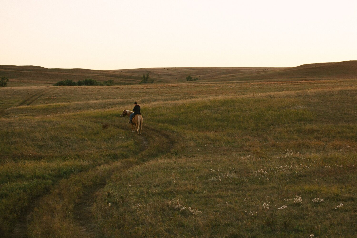 photo-.jpg