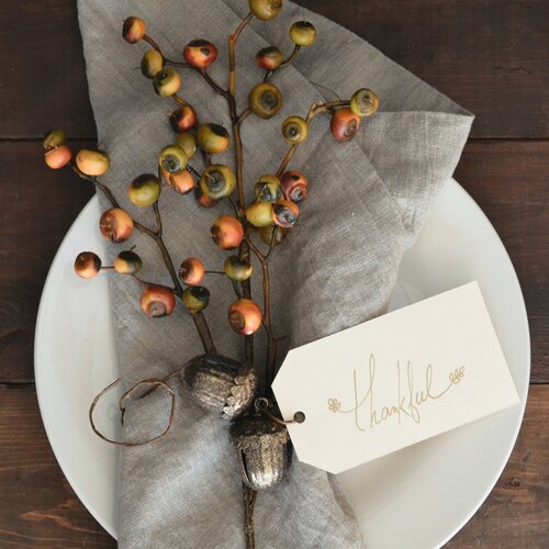 Round Green Fruits by Debby Hudson