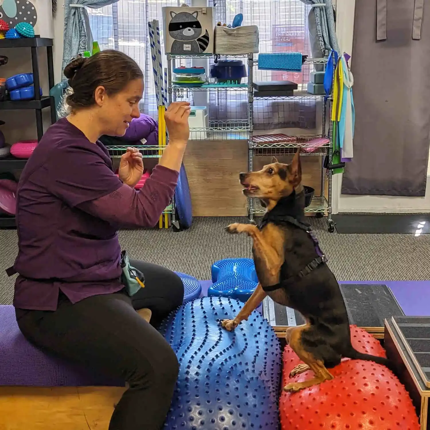 Griffey's Athletic Spirit: Managing Pain & Energy Through Rehabilitation