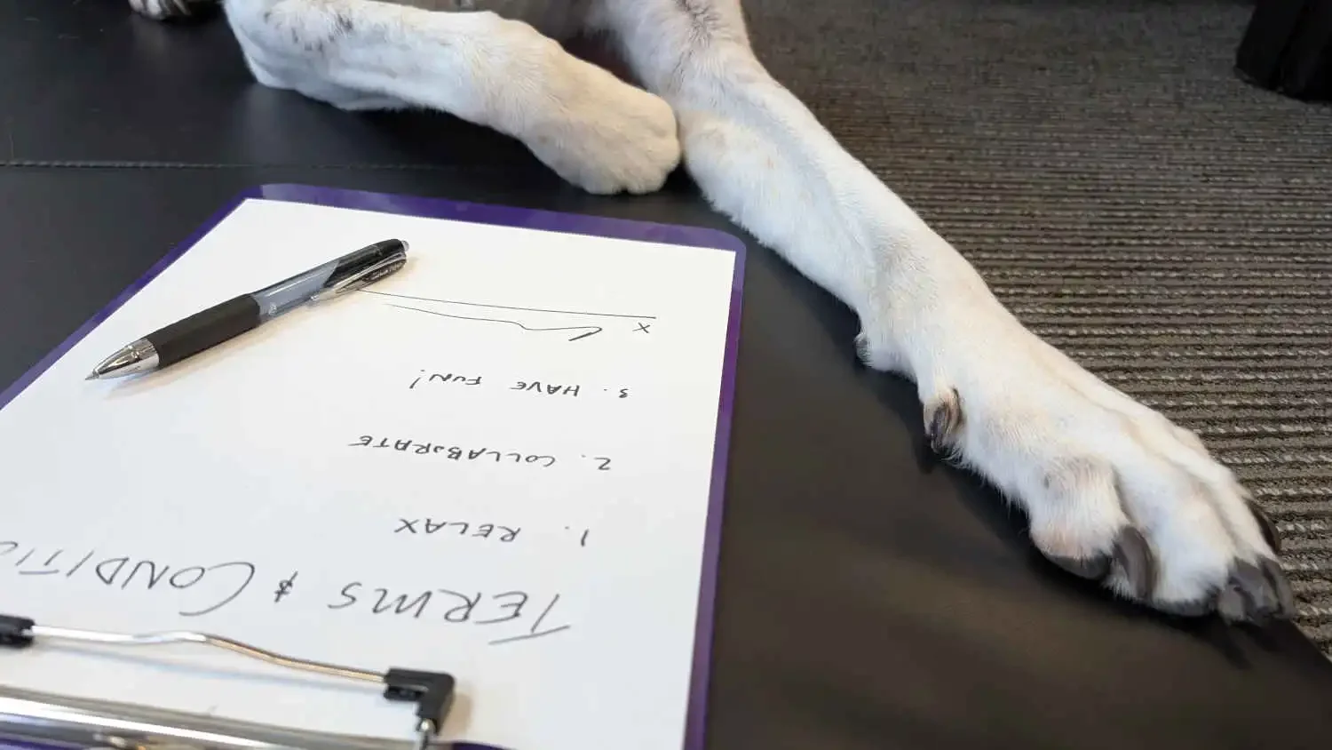 A close-up of a handwritten Terms and Conditions document on a clipboard, with a pen, signature, and a dog's paw resting nearby. The photo symbolizes a clear, collaborative, and caring partnership.