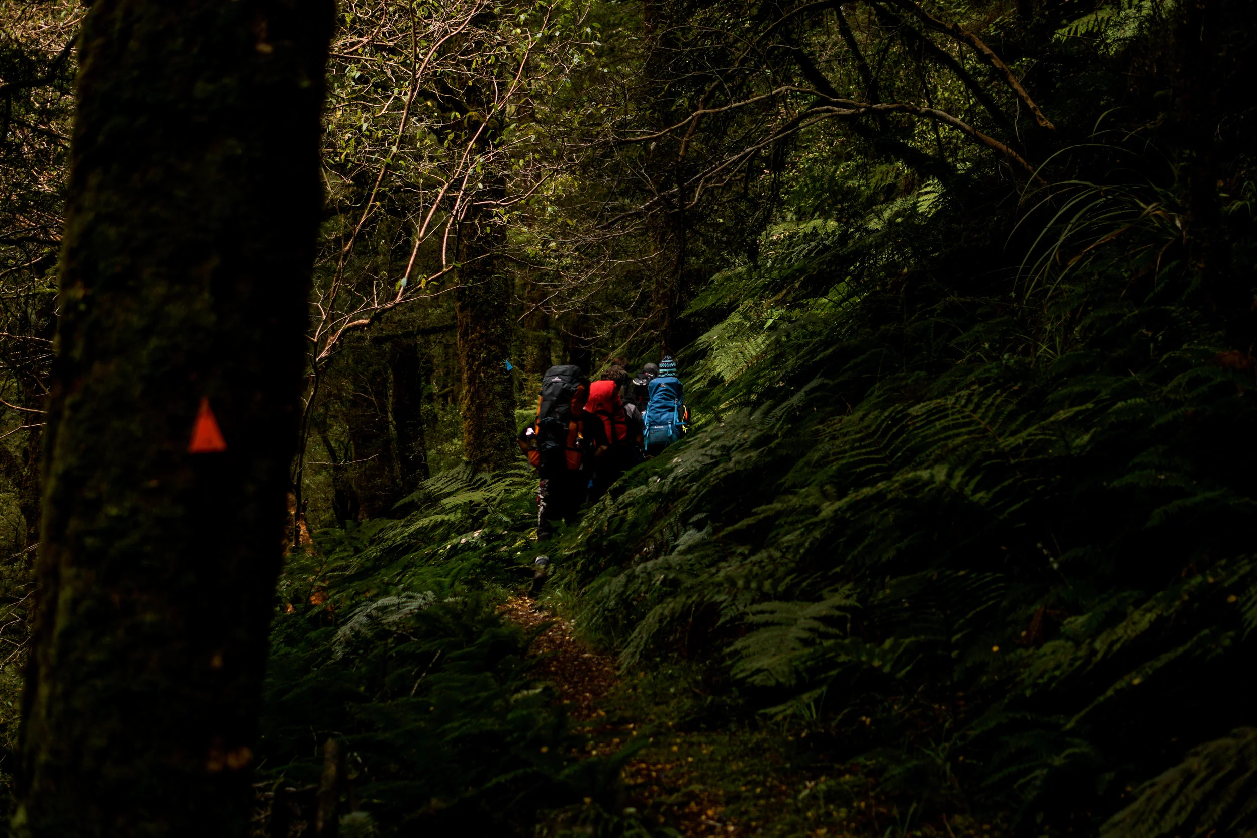 DSC01268.jpg