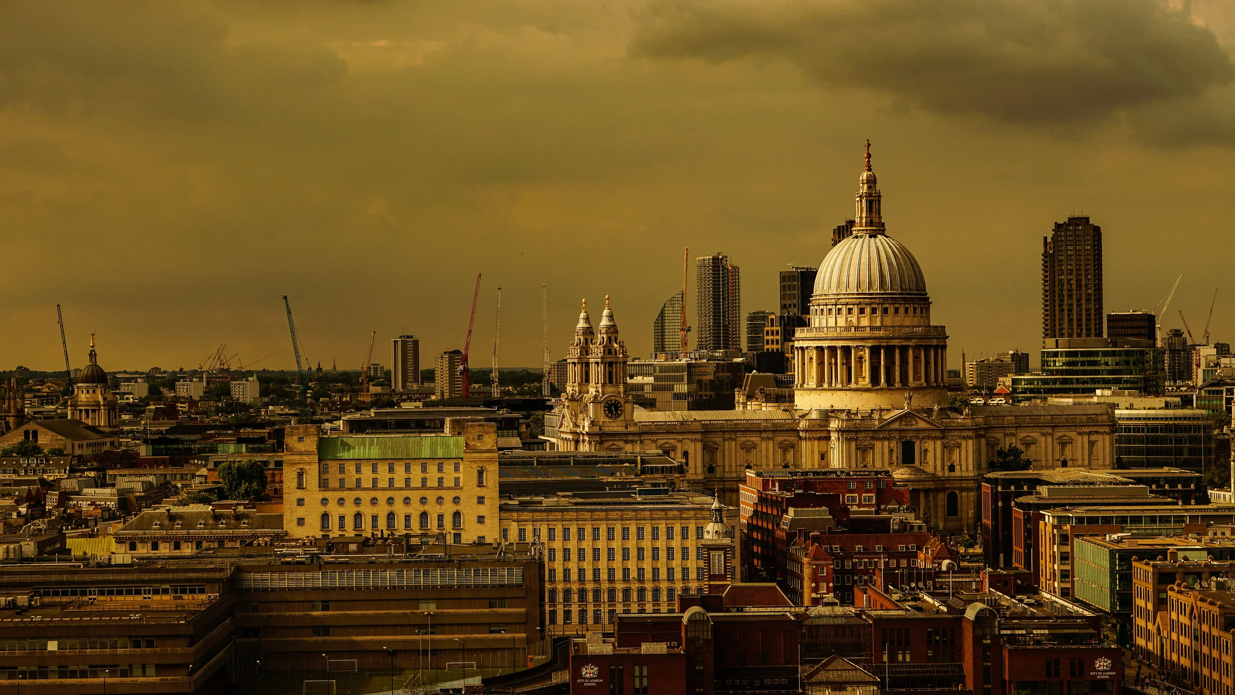 DSC02831-2.jpg