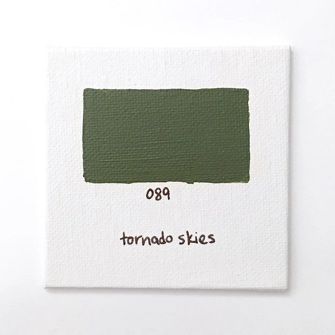089 - I was terrified of storms as a kid—in Ohio, thunderstorms often mean scary red and purple blotches on the weather radar warning of tornadoes. Turns out it was only after I’d mostly gotten over my fear that we had a close encounter.