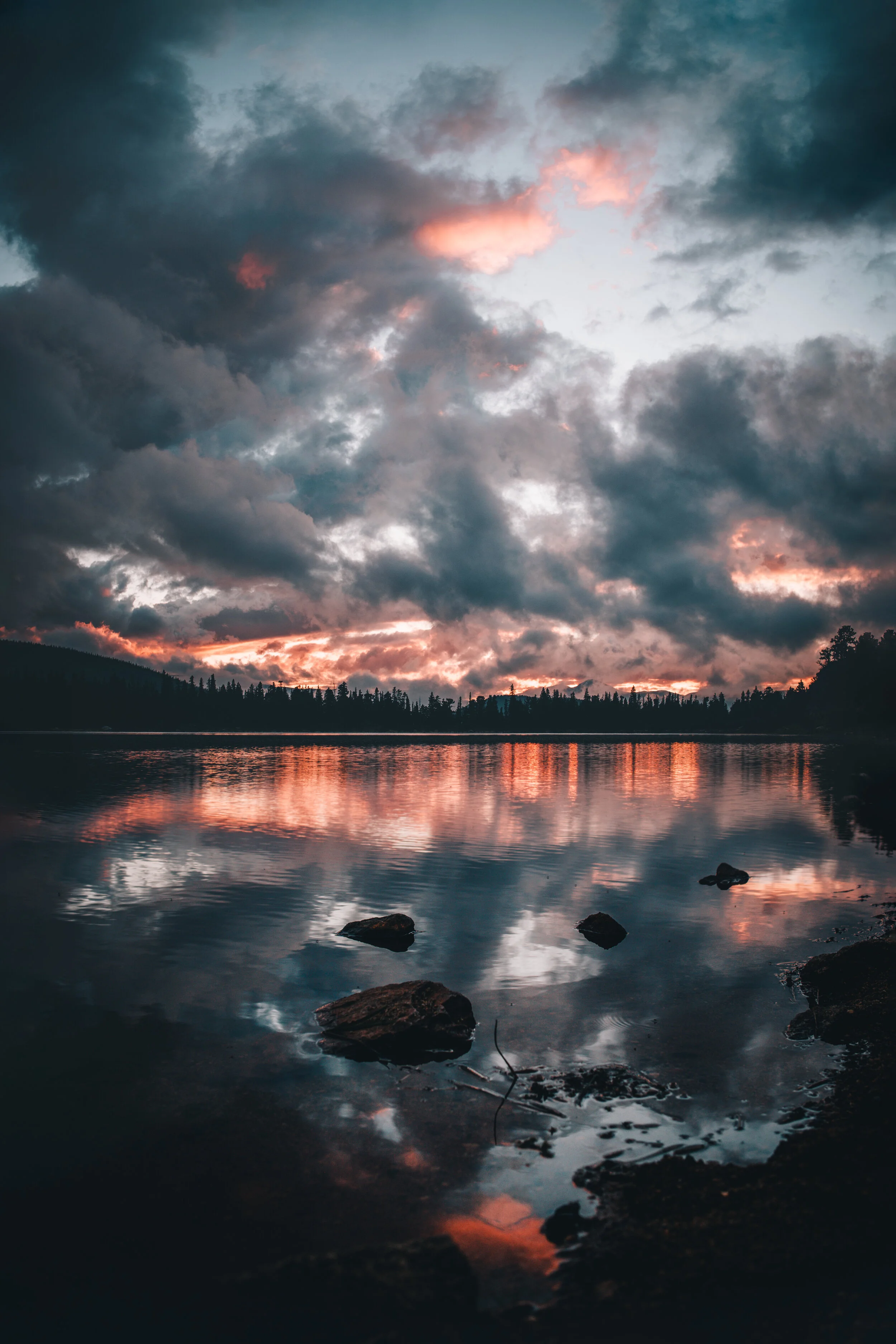 DSC_6637-Edit.jpg