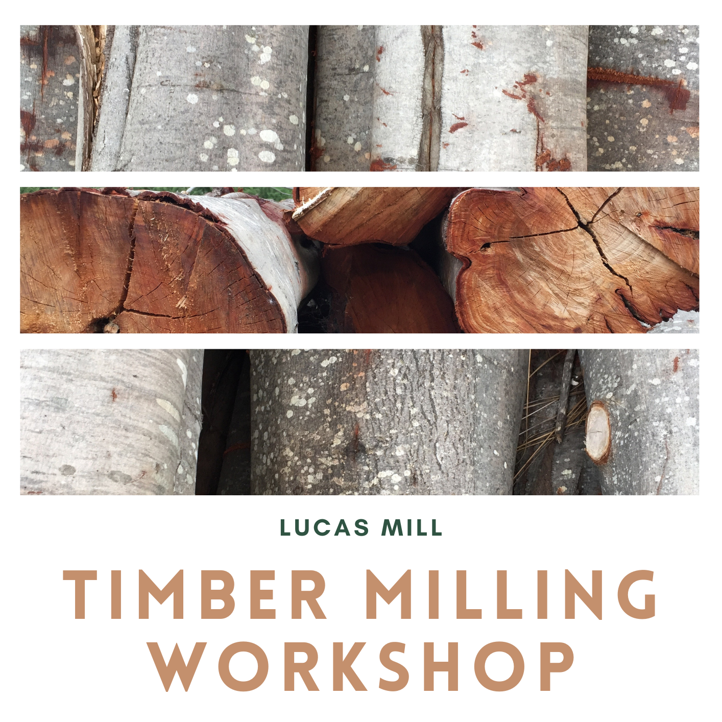 Timber Milling Workshop