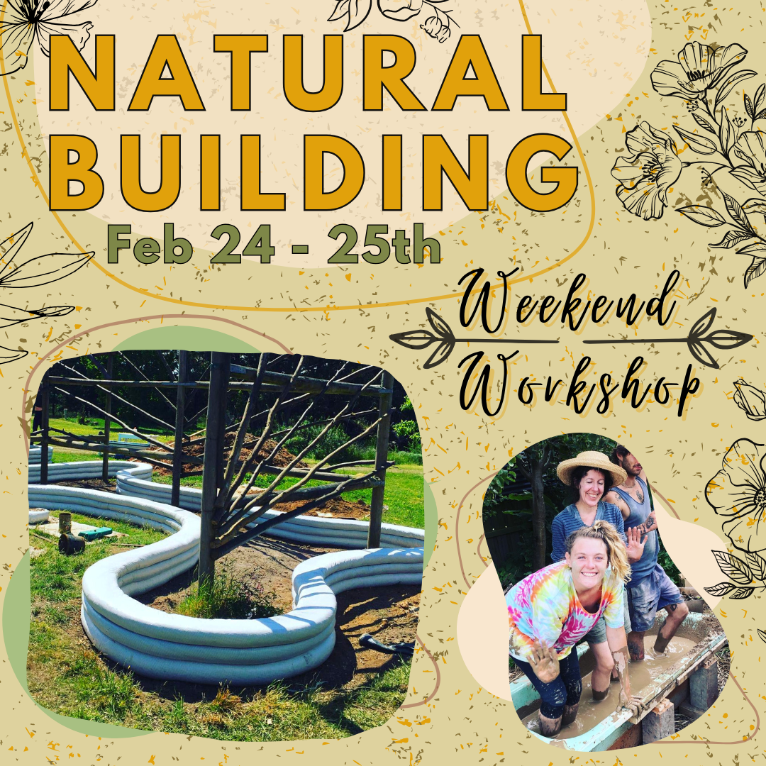 Natural Building Weekend Workshop - Feb 2024