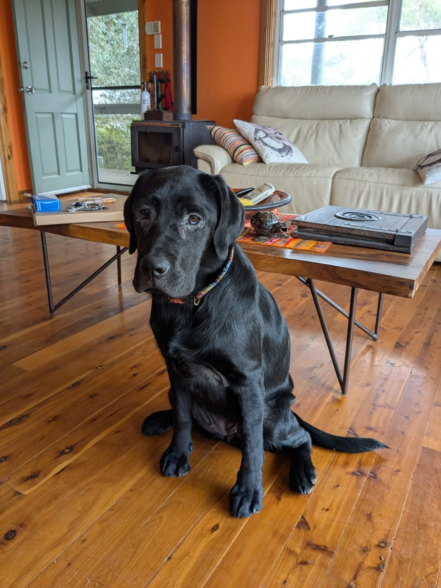 WhatsApp Image 2026-01-02 at 21.43.32 (1).jpeg