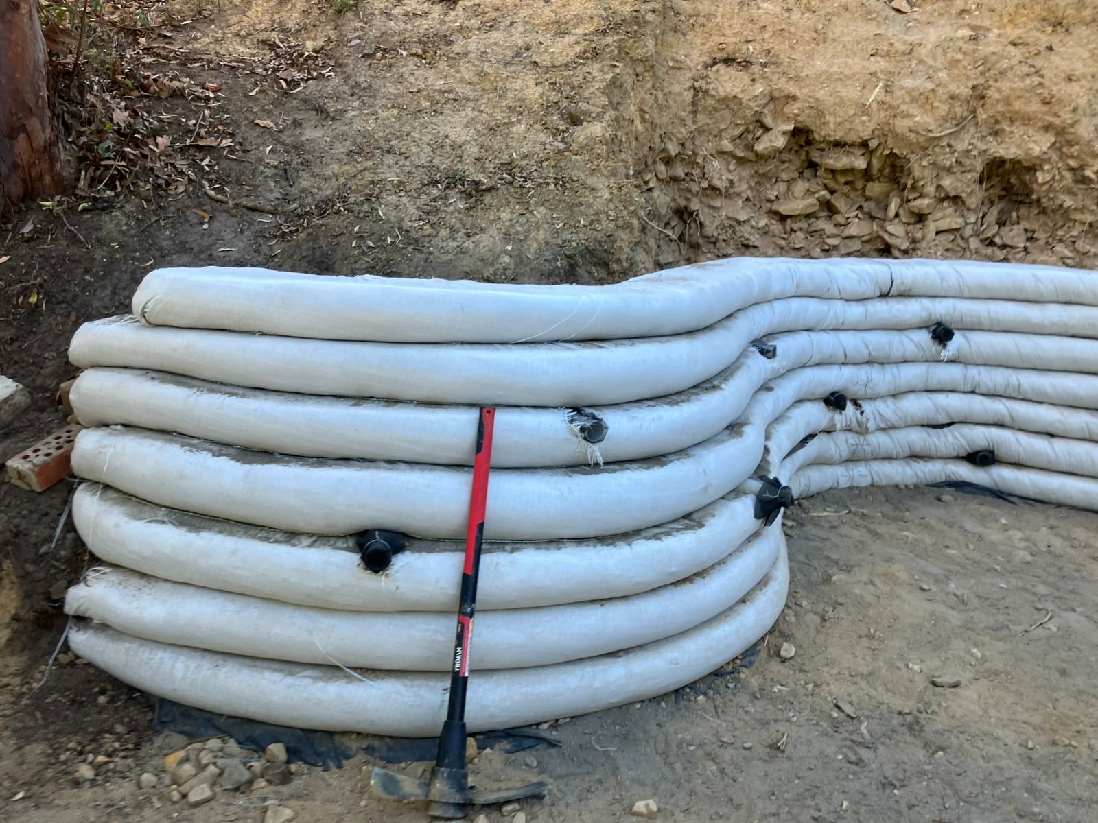 WhatsApp Image 2026-01-07 at 19.07.09.jpeg