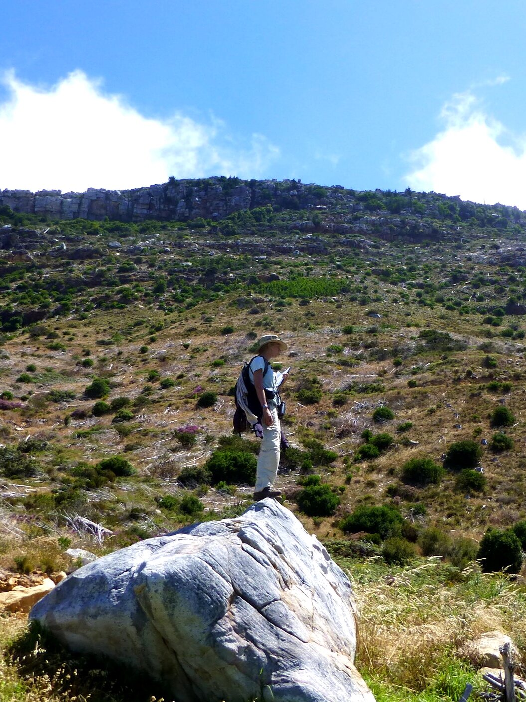 fieldwork_side.jpg