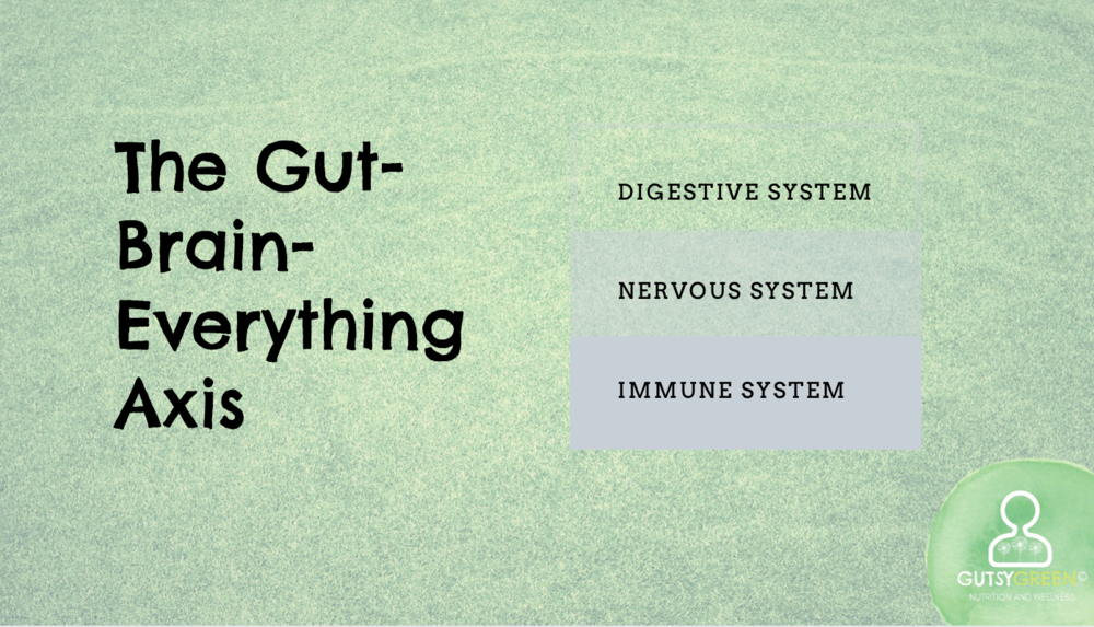 the 3 systems mediated by the gut