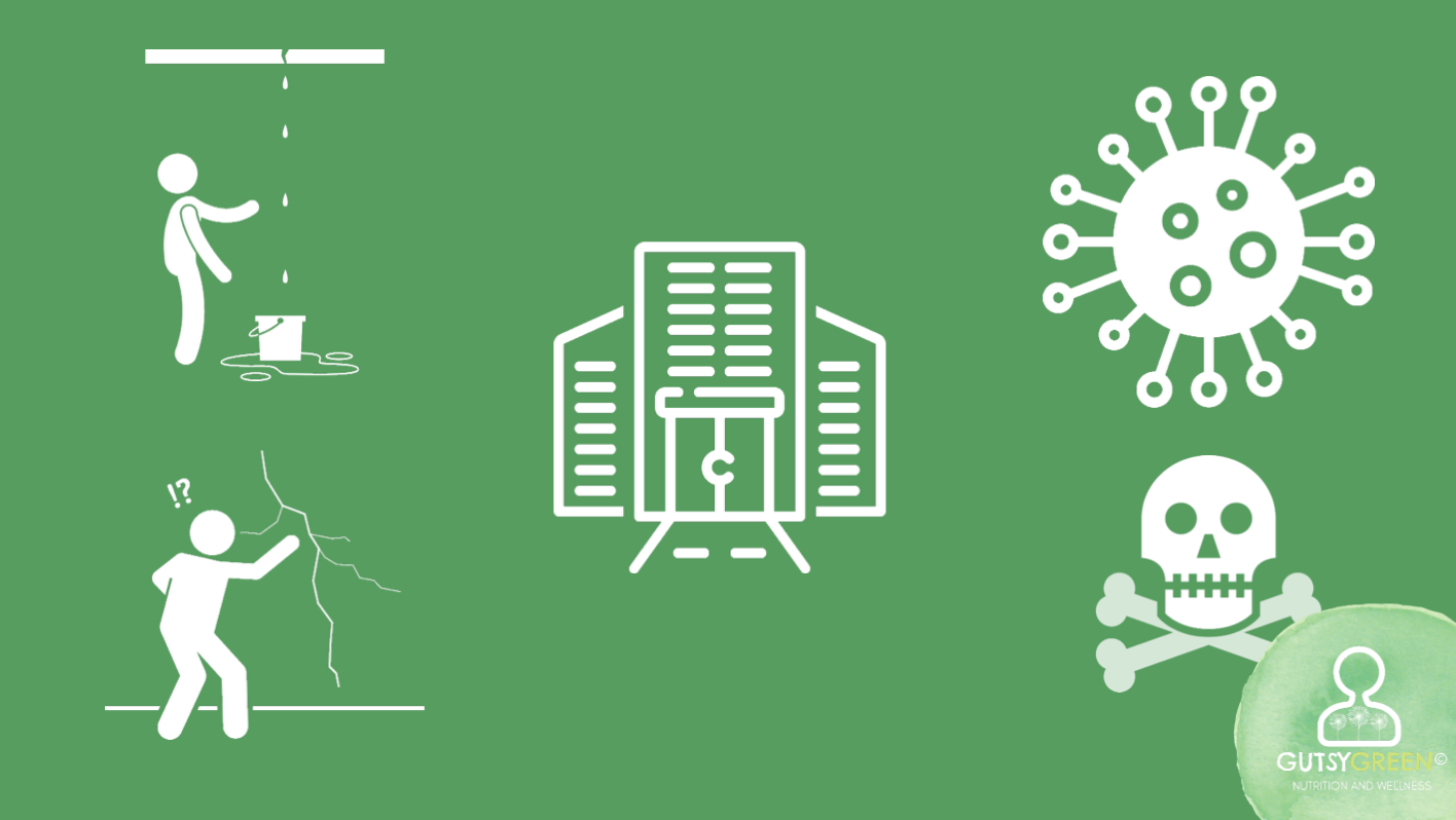 a broken gut means a broken immune system