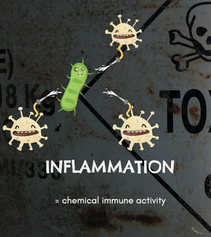 inflammation is chemical immune activity