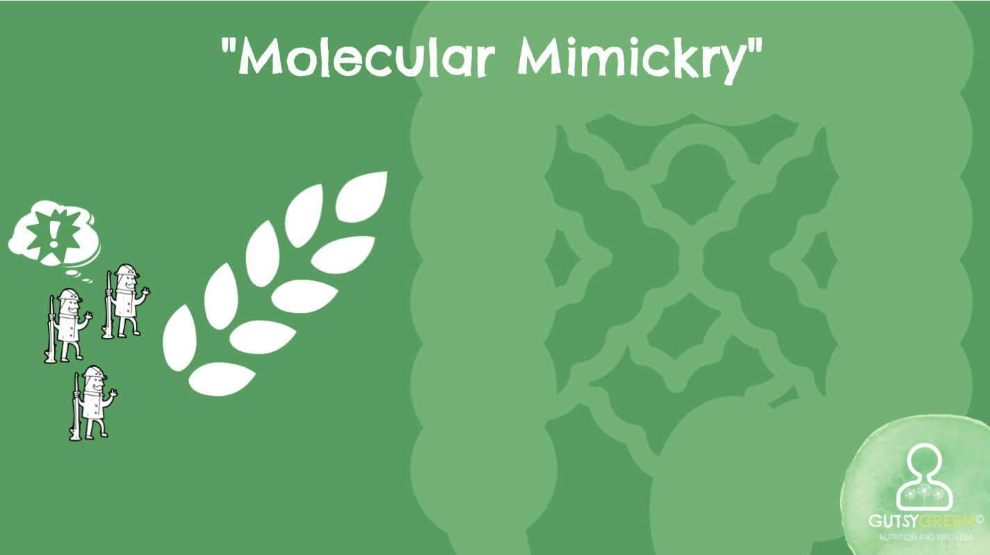how does molecular mimicry lead to autoimmunity?