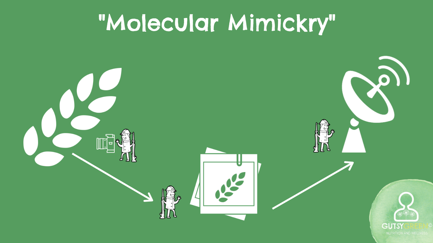 immune cell metaphors