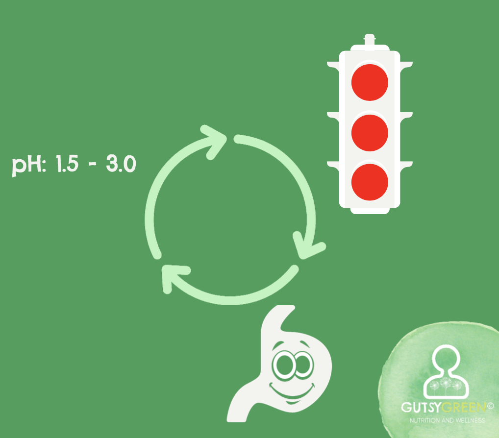 proper stomach acid prevents GERD
