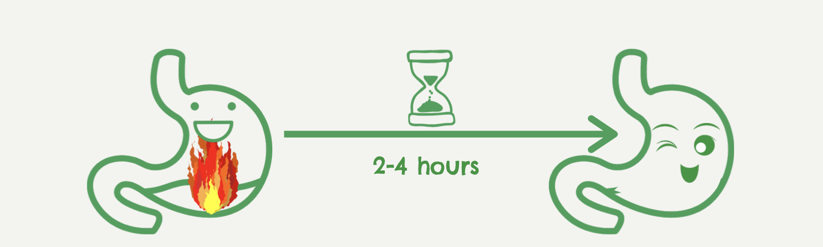 stomach acid speeds up transit time
