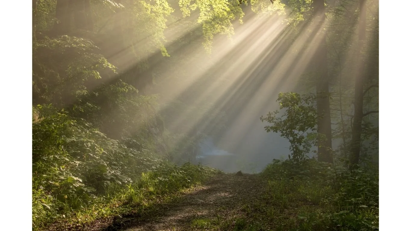 Archetypalhomeopathy