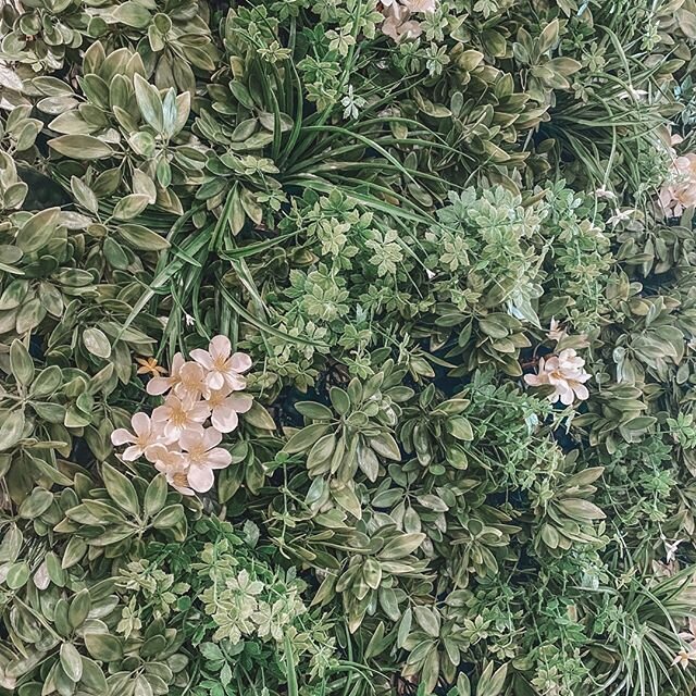 Happy St Patrick's Day! ☘️
To celebrate we have our beautiful GREEN WALL which is available for hire! Contact us for more details or check it out and more on the link below:
https://www.lovepaper.com.au/green-wall
.
.
.
.
.
.
.
#lovepaper #greenwall 