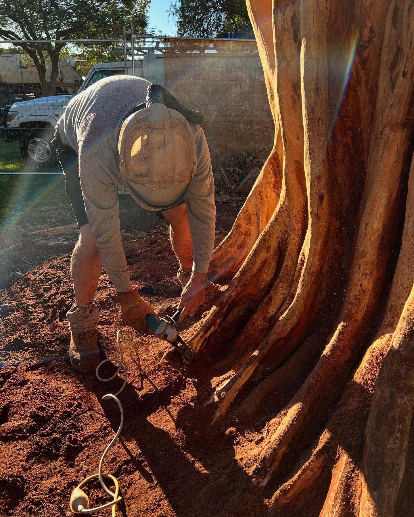 Debarking and working with the natural form of this tree which also mimics the landscape around Tom Price #tompricewa #treecarving #treestump #neilturnerartisan